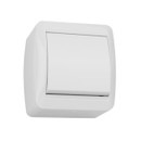 Изображение товара Выключатель одноклавишный накладной Селигер белый IP44 TDM