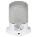 Светильник НПБ400 для сауны настенно-потолочный белый IP54 60 ВтTDM