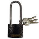 Изображение товара Замок навесной ФЗ 303F-40L