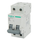 Выключатель автоматический двухполюсной C 50А 4.5кА City9 Systeme Electric_1