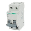 Изображение товара Выключатель автоматический двухполюсной C 63А 4.5кА City9 Systeme Electric