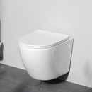 Унитаз подвесной Am.Pm Like C801900SC белый_1