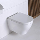 Унитаз подвесной Sanita Luxe Breeze безободковый с сиденьем дюропласт микролифт_1