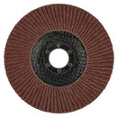 Круг лепестковый для шлифования 125х22мм P60 Йоко_2