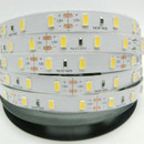 Светодиодная лента General Lighting Systems GLS-5730-60-18-12-IP20-6 холодный белый 503401