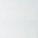 Панель потолочная Armstrong Bioguard board 600х600х12мм 20шт_2