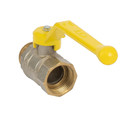 Кран шаровый газовый LD Pride НР-ВР 1" ручка