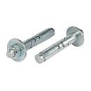 Болт анкерный с гайкой Fischer FSA-B 10х55/10 мм