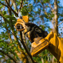 Секатор аккумуляторный Ingco CSSLI20308 20 В_3