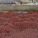 Керамзит фракция 10-20, в МКР (0,9 м3)