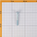 Болт DIN603 6,0х50 мебельный_4