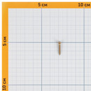 Саморез по дереву 3,5х25мм желтый цинк_4