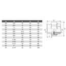 Муфта комбинированная разъемная TEBO 20х1/2" ВР