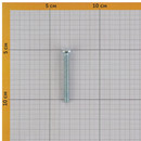 Винт с полусферической головкой M6x50 DIN 7985 оцинкованный_4