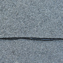 Гидроизоляция плоской кровли Технониколь 1х8м 8м2_5