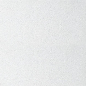 Изображение товара Панель потолочная Armstrong Retail board 600х600х12мм для звукопоглощения