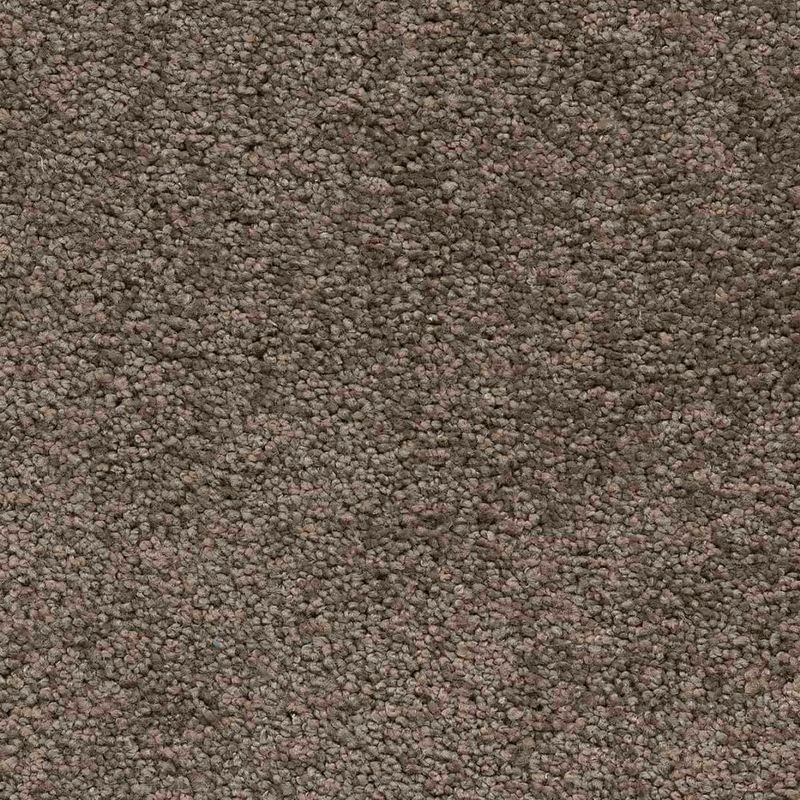 Покрытие ковровое Associated Weavers Vigour 44, 5 м, 100 % SDN