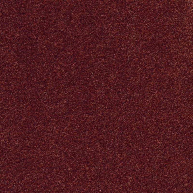 Коммерческое ковровое покрытие Canaletto 11, 4 м, 100% PA