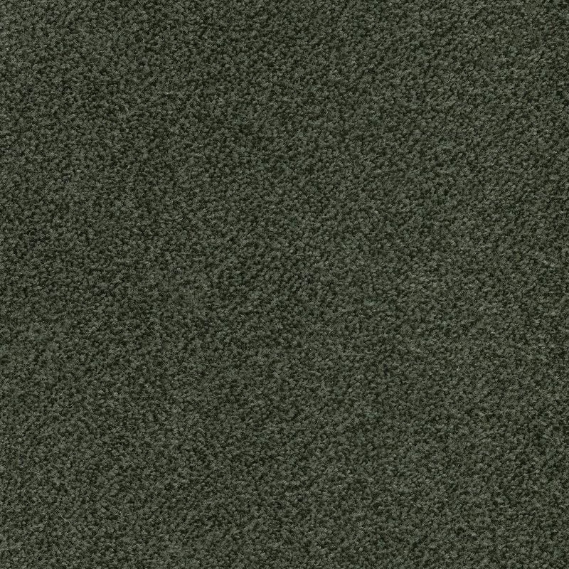 Коммерческое ковровое покрытие Canaletto 24, 4 м, 100% PA