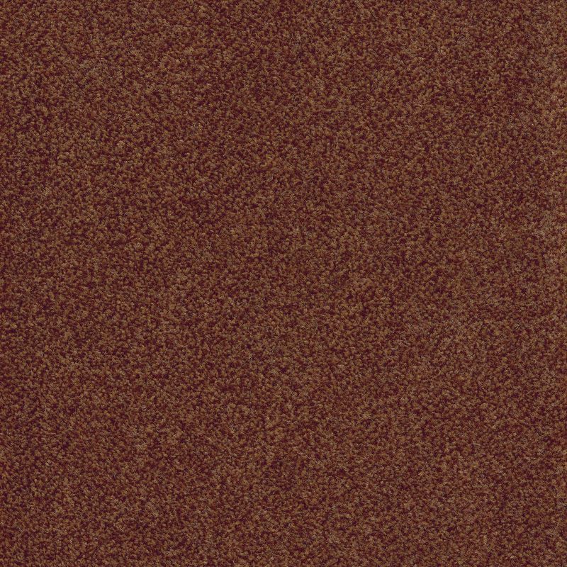 Комерческое ковровое покрытие Canaletto 84, 5 м, 100% PA