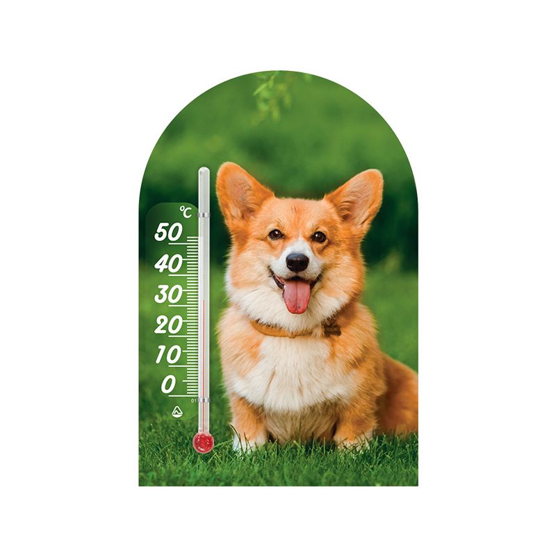 Термометр комнатный ЗооМир исп. 1 (0 +50°С) основание картон на липучке