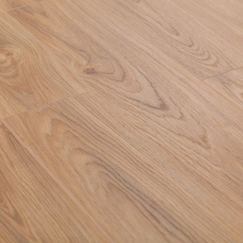 Ламинат Bonkeel Dream Wood 224 8мм 32кл с фаской 1,643м²