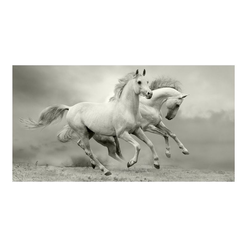 Фотообои OVK Design 230090, 250x130 см, "Белые лошади"